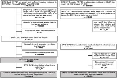 Protection of hybrid immunity against SARS-CoV-2 reinfection and severe COVID-19 during periods of Omicron variant predominance in Mexico